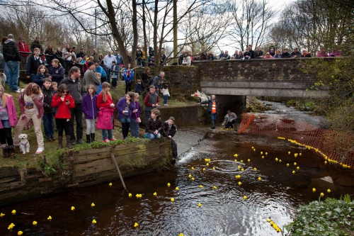 diggle duck race