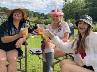 ‘Baby Glasto’-Wellifest music festival hits right notes with sell out crowd